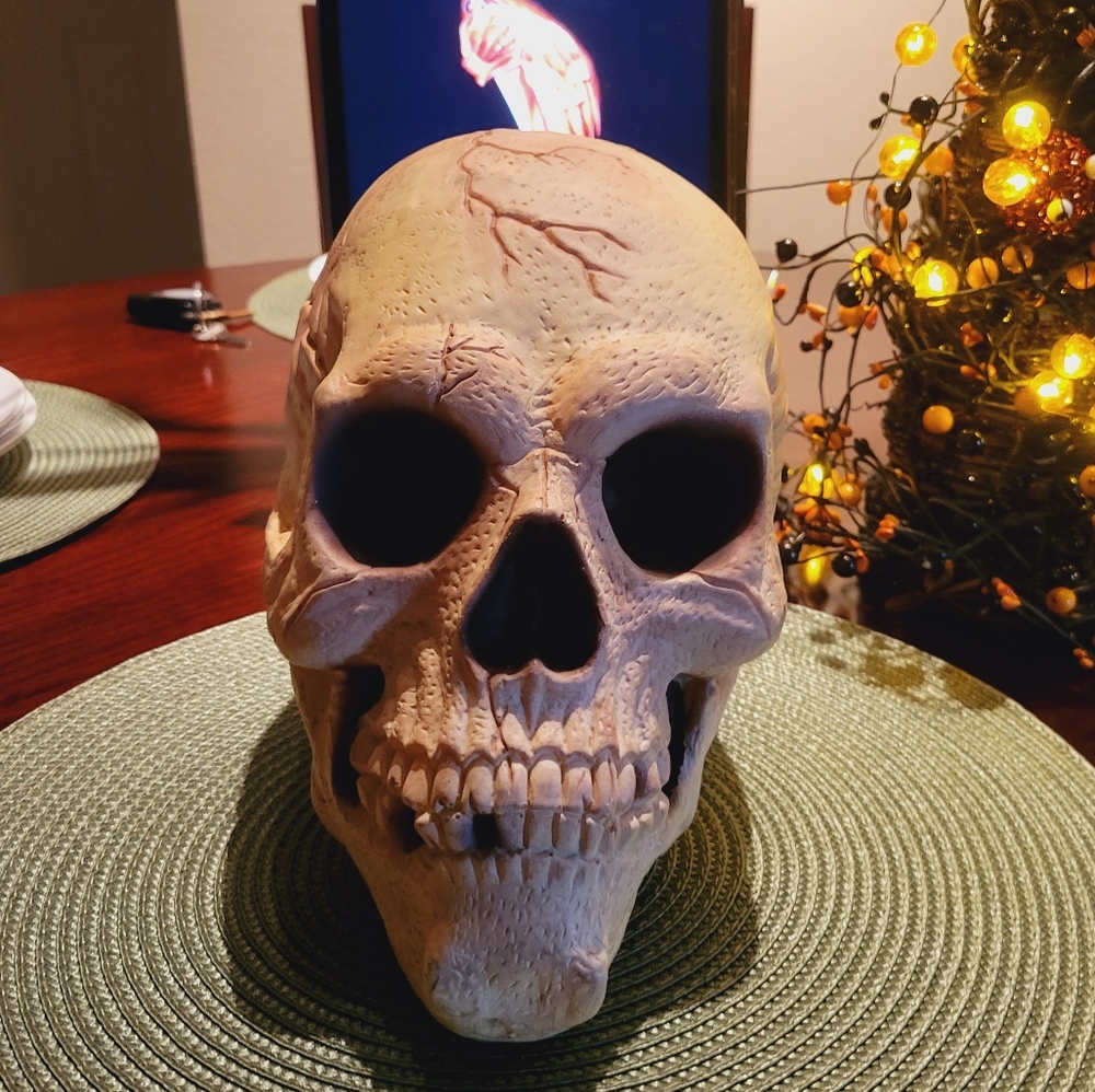 Skull - Picture 3 of 8